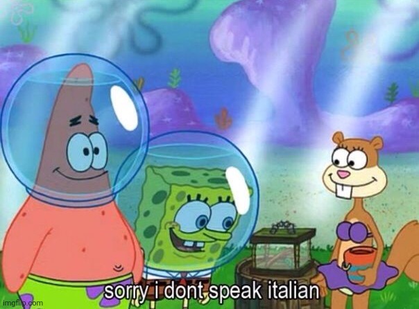 Sorry I don't speak italian | image tagged in sorry i don't speak italian | made w/ Imgflip meme maker