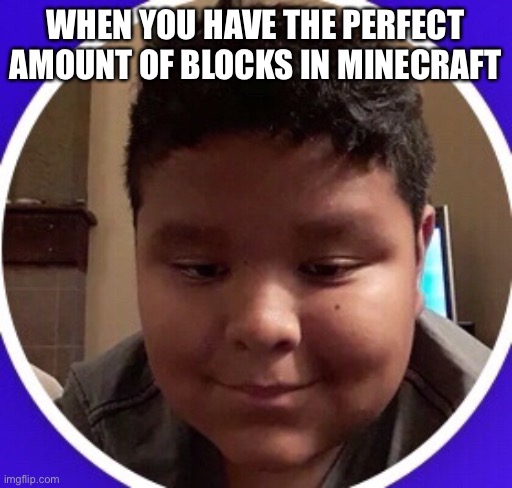 Meme | WHEN YOU HAVE THE PERFECT AMOUNT OF BLOCKS IN MINECRAFT | image tagged in minecraft,marcus,smile,memes | made w/ Imgflip meme maker