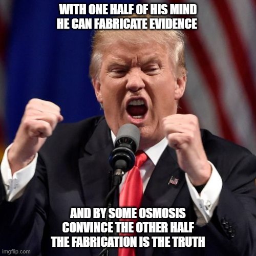 Trump Evidence | WITH ONE HALF OF HIS MIND HE CAN FABRICATE EVIDENCE; AND BY SOME OSMOSIS CONVINCE THE OTHER HALF THE FABRICATION IS THE TRUTH | image tagged in donald trump | made w/ Imgflip meme maker