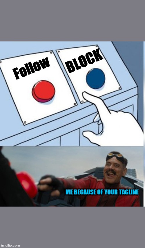 Two Buttons Eggman | Follow BLOCK ME BECAUSE OF YOUR TAGLINE | image tagged in two buttons eggman | made w/ Imgflip meme maker