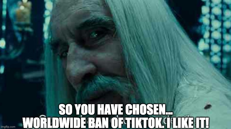 So you have chosen death | SO YOU HAVE CHOSEN... WORLDWIDE BAN OF TIKTOK. I LIKE IT! | image tagged in so you have chosen death | made w/ Imgflip meme maker