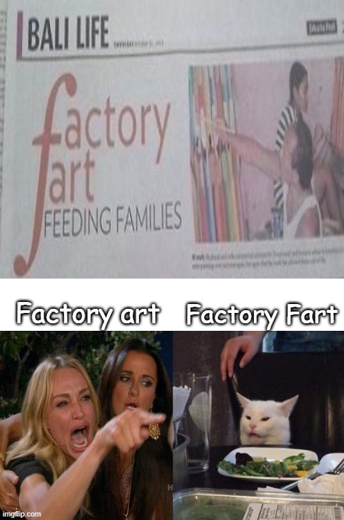 Can anyone make this a petition ? | Factory Fart; Factory art | image tagged in you had one job,woman yelling at cat,design fails | made w/ Imgflip meme maker