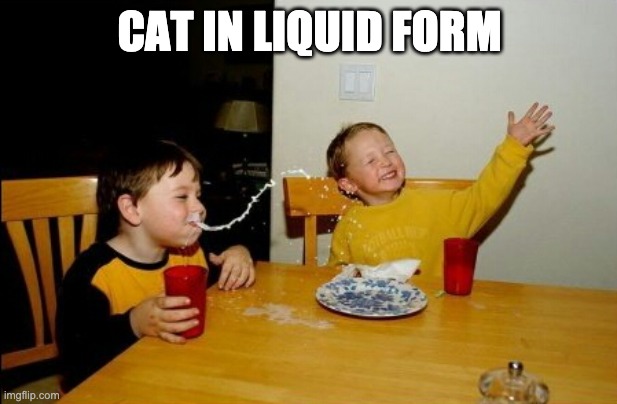 Yo Mamas So Fat Meme | CAT IN LIQUID FORM | image tagged in memes,yo mamas so fat | made w/ Imgflip meme maker