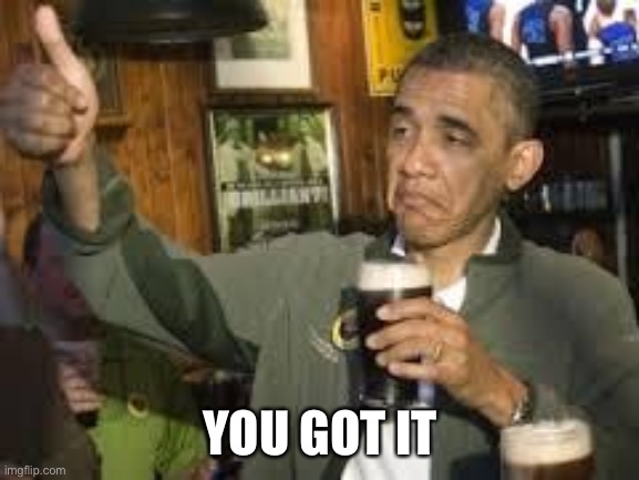 Go Home Obama, You're Drunk | YOU GOT IT | image tagged in go home obama you're drunk | made w/ Imgflip meme maker