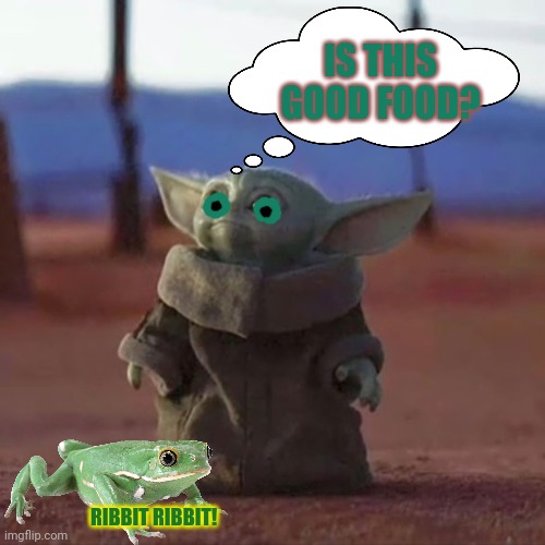 The child needs food! | IS THIS GOOD FOOD? RIBBIT RIBBIT! | image tagged in baby yoda,star wars yoda,the mandalorian,frog,food | made w/ Imgflip meme maker