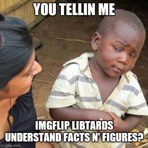 Third World Skeptical Kid Meme | YOU TELLIN ME IMGFLIP LIBTARDS UNDERSTAND FACTS N' FIGURES? | image tagged in memes,third world skeptical kid | made w/ Imgflip meme maker