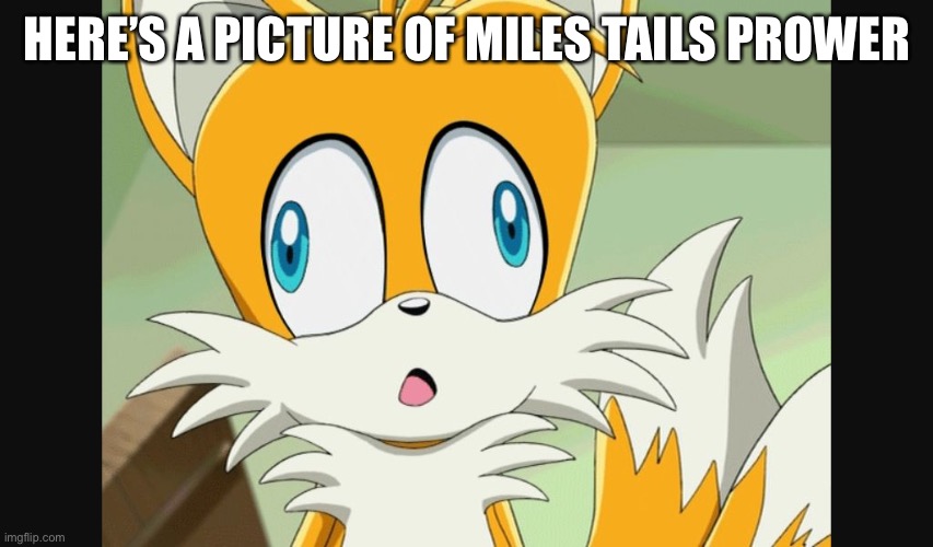 sonic- Derp Tails | HERE’S A PICTURE OF MILES TAILS PROWER | image tagged in sonic- derp tails | made w/ Imgflip meme maker