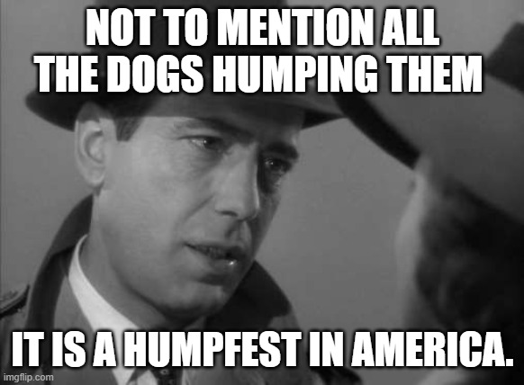 Casablanca Humphry Bogart | NOT TO MENTION ALL THE DOGS HUMPING THEM IT IS A HUMPFEST IN AMERICA. | image tagged in casablanca humphry bogart | made w/ Imgflip meme maker