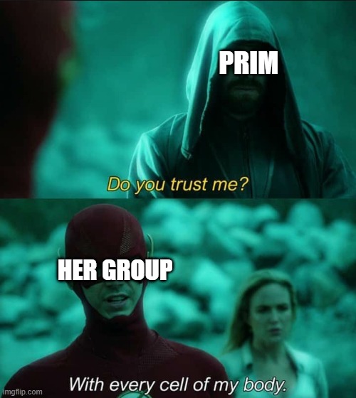 Do you trust me flash | PRIM; HER GROUP | image tagged in do you trust me flash | made w/ Imgflip meme maker