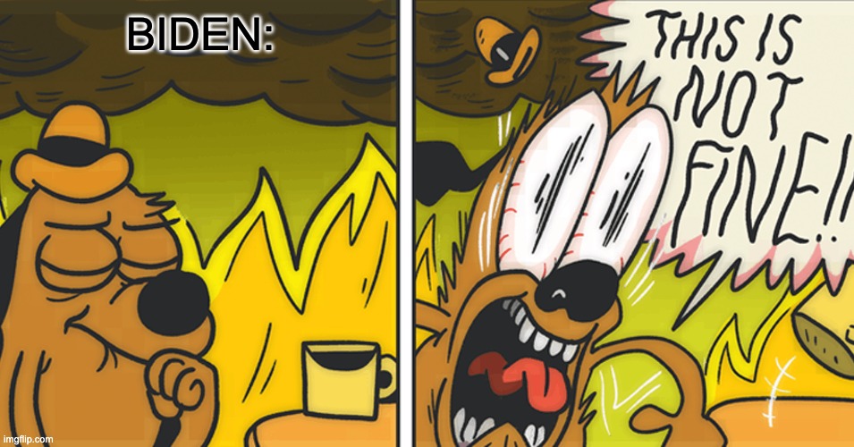 This is not fine | BIDEN: | image tagged in this is not fine | made w/ Imgflip meme maker
