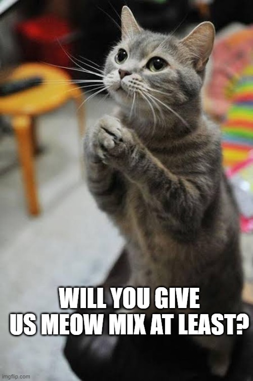 Begging Cat (adorable) | WILL YOU GIVE US MEOW MIX AT LEAST? | image tagged in begging cat adorable | made w/ Imgflip meme maker