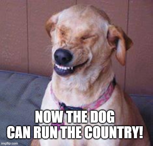 Let the dogs run it. | NOW THE DOG CAN RUN THE COUNTRY! | image tagged in funny dog | made w/ Imgflip meme maker