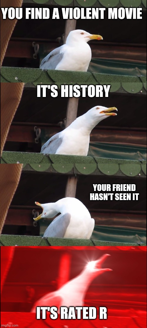 Idk MEMES | YOU FIND A VIOLENT MOVIE; IT'S HISTORY; YOUR FRIEND HASN'T SEEN IT; IT'S RATED R | image tagged in memes,inhaling seagull | made w/ Imgflip meme maker