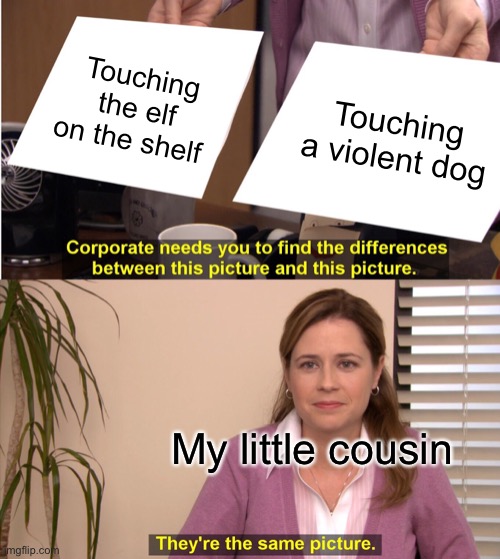 They're The Same Picture | Touching the elf on the shelf; Touching a violent dog; My little cousin | image tagged in memes,they're the same picture | made w/ Imgflip meme maker