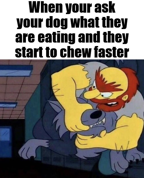 It is like they understand you | When your ask your dog what they are eating and they start to chew faster | image tagged in dogs,eating | made w/ Imgflip meme maker