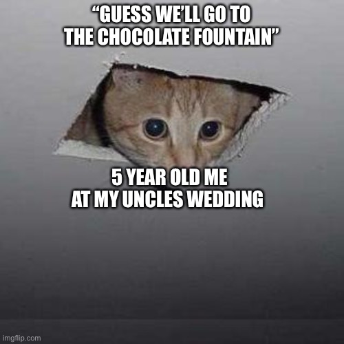 Ceiling Cat Meme | “GUESS WE’LL GO TO THE CHOCOLATE FOUNTAIN”; 5 YEAR OLD ME AT MY UNCLES WEDDING | image tagged in memes,ceiling cat | made w/ Imgflip meme maker