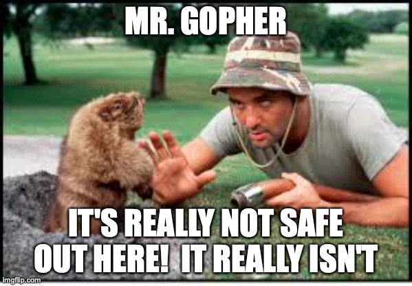 It's no safe anymore | MR. GOPHER; IT'S REALLY NOT SAFE OUT HERE!  IT REALLY ISN'T | image tagged in coronavirus,gopher,caddyshack,funny memes | made w/ Imgflip meme maker