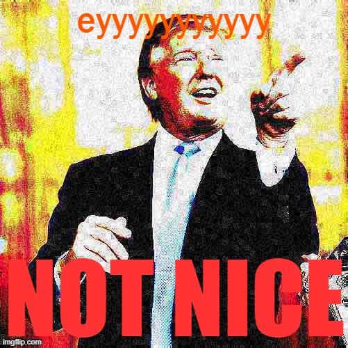 When they don't support "celebrities" sharing their political opinion. | eyyyyyyyyyyy NOT NICE | image tagged in donald trump birthday deep-fried | made w/ Imgflip meme maker