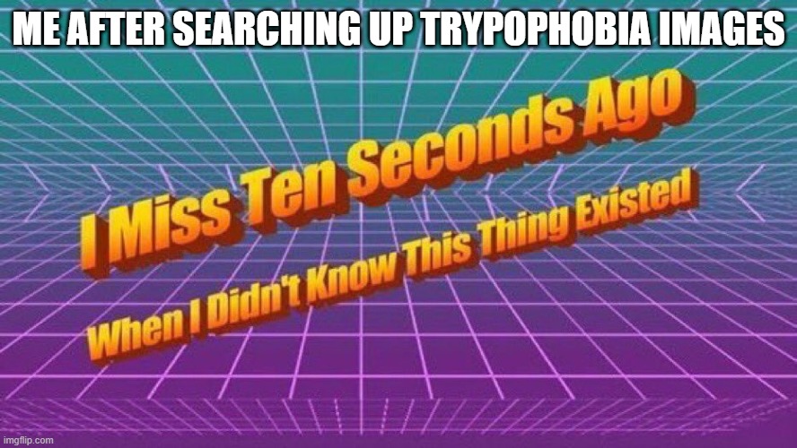 WTF did google just bring upon our cursed land | ME AFTER SEARCHING UP TRYPOPHOBIA IMAGES | image tagged in i miss ten seconds ago,gross | made w/ Imgflip meme maker