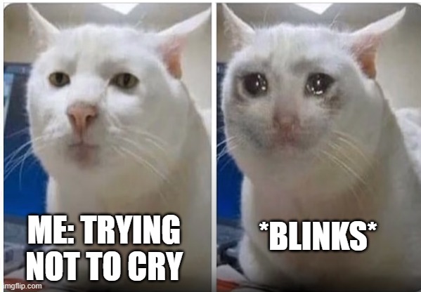 mr relatable | ME: TRYING NOT TO CRY; *BLINKS* | image tagged in relatable,funny,crying cat | made w/ Imgflip meme maker