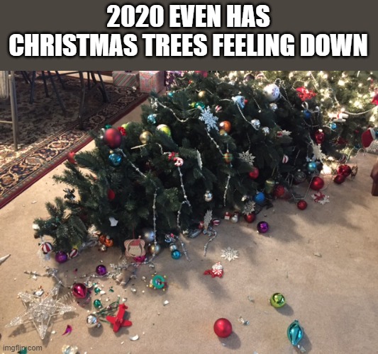 Christmas Trees in 2020 | 2020 EVEN HAS CHRISTMAS TREES FEELING DOWN | image tagged in christmas,tree,christmas tree,2020,funny,wtf | made w/ Imgflip meme maker