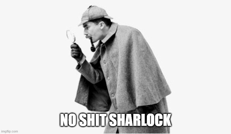 no shit sherlock  | NO SHIT SHARLOCK | image tagged in no shit sherlock | made w/ Imgflip meme maker