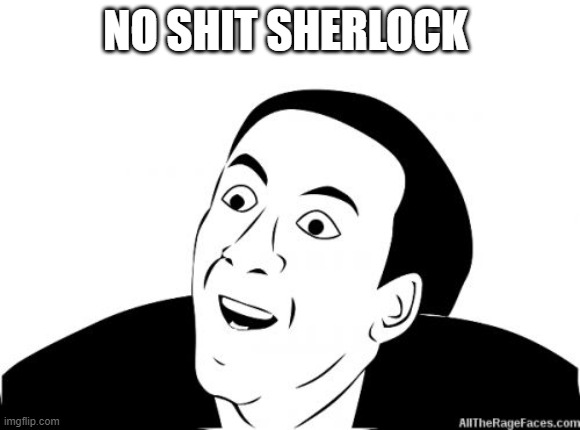 You Dont Say | NO SHIT SHERLOCK | image tagged in you dont say | made w/ Imgflip meme maker