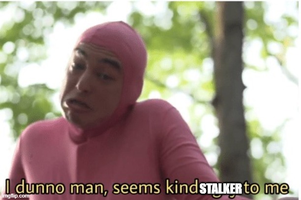 I dunno man seems kinda gay to me | STALKER | image tagged in i dunno man seems kinda gay to me | made w/ Imgflip meme maker