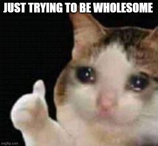 Approved crying cat | JUST TRYING TO BE WHOLESOME | image tagged in approved crying cat | made w/ Imgflip meme maker