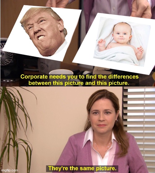 They're The Same Picture | image tagged in memes,they're the same picture | made w/ Imgflip meme maker