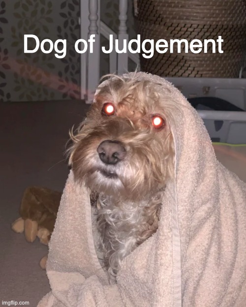 Dog of Judgement | made w/ Imgflip meme maker