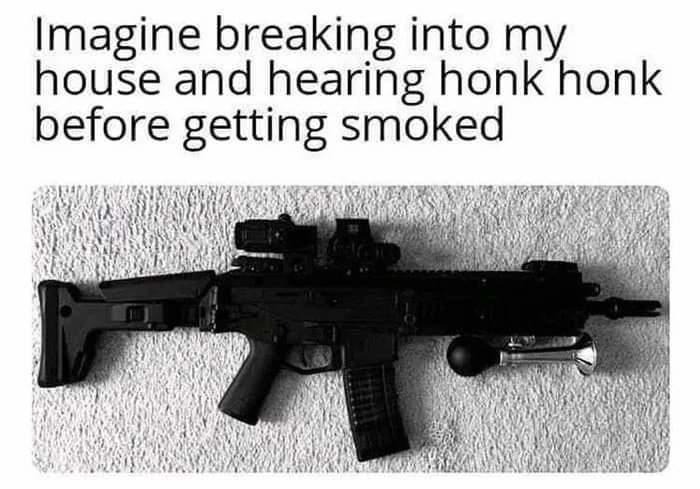 The Far Side AR-15 accessory. | image tagged in adding insult to injury,ar 15,picatinny rail,self defense,gun rights,2nd amendment | made w/ Imgflip meme maker