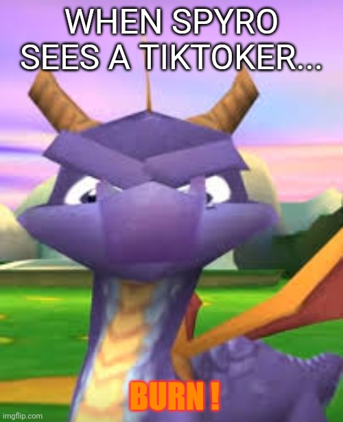 Spyro Death Stare | WHEN SPYRO SEES A TIKTOKER... BURN ! | image tagged in spyro death stare | made w/ Imgflip meme maker
