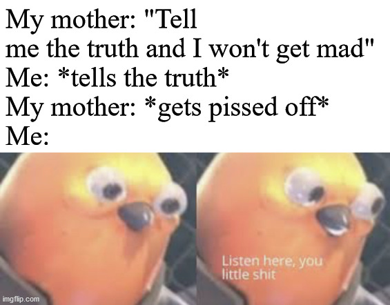 Listen here you little shit bird | My mother: "Tell me the truth and I won't get mad"
Me: *tells the truth*
My mother: *gets pissed off*
Me: | image tagged in listen here you little shit bird | made w/ Imgflip meme maker