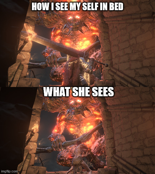 HOW I SEE MY SELF IN BED; WHAT SHE SEES | image tagged in dark souls,bed,big booty | made w/ Imgflip meme maker