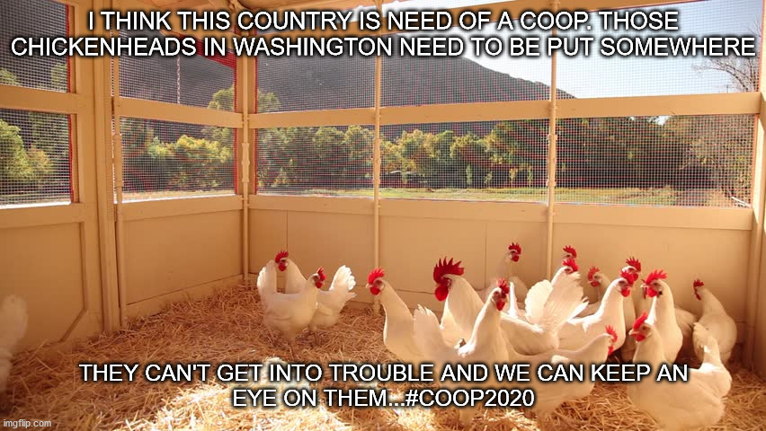 #Coop2020 | I THINK THIS COUNTRY IS NEED OF A COOP. THOSE CHICKENHEADS IN WASHINGTON NEED TO BE PUT SOMEWHERE; THEY CAN'T GET INTO TROUBLE AND WE CAN KEEP AN EYE ON THEM...#COOP2020 | image tagged in political meme | made w/ Imgflip meme maker