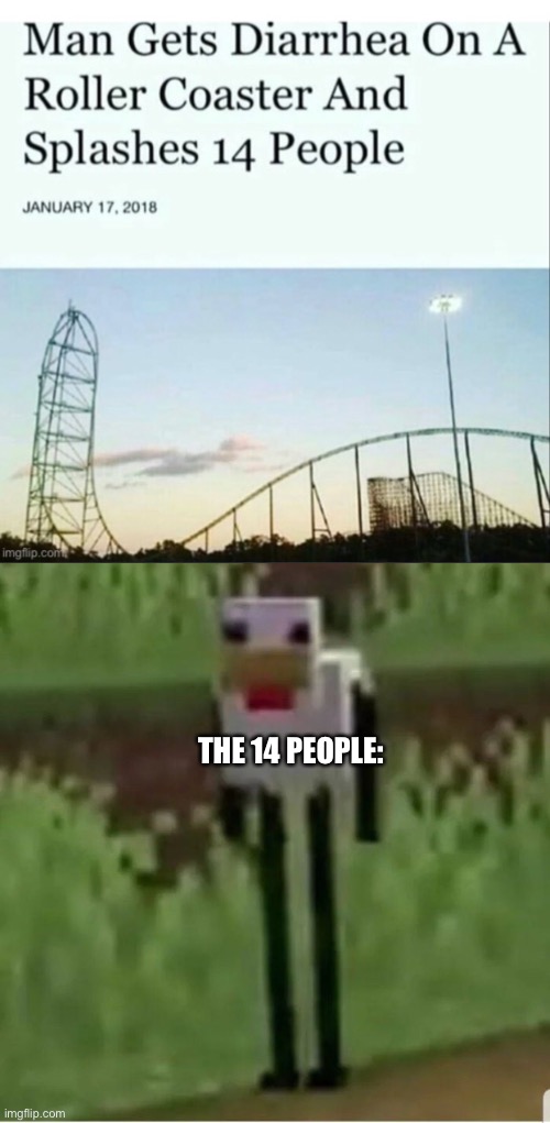 Diarrhoea or Gonorrhoea | THE 14 PEOPLE: | image tagged in cursed minecraft chicken,funny memes,not funny | made w/ Imgflip meme maker
