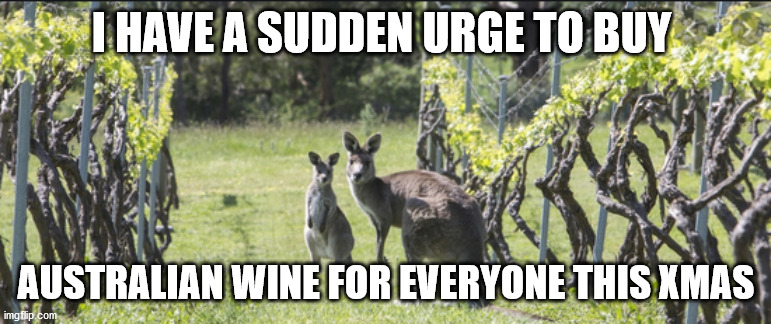 Buy Australian Wine | I HAVE A SUDDEN URGE TO BUY; AUSTRALIAN WINE FOR EVERYONE THIS XMAS | image tagged in meanwhile in australia | made w/ Imgflip meme maker