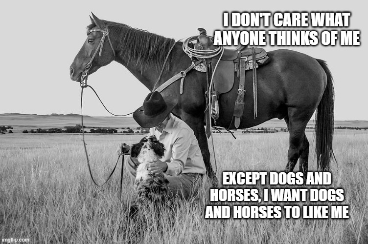 horses and dogs | I DON'T CARE WHAT ANYONE THINKS OF ME; EXCEPT DOGS AND HORSES, I WANT DOGS AND HORSES TO LIKE ME | image tagged in dogs,horses | made w/ Imgflip meme maker