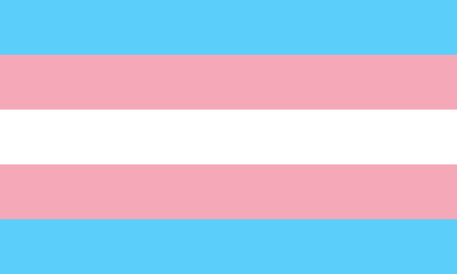 High Quality Trans Flag Blank Meme Template