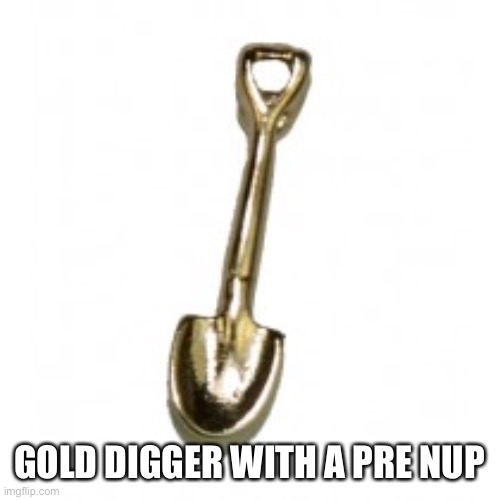 Gold digger | GOLD DIGGER WITH A PRE NUP | image tagged in gold digger | made w/ Imgflip meme maker