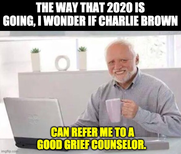 Good grief! | THE WAY THAT 2020 IS GOING, I WONDER IF CHARLIE BROWN; CAN REFER ME TO A GOOD GRIEF COUNSELOR. | image tagged in harold | made w/ Imgflip meme maker