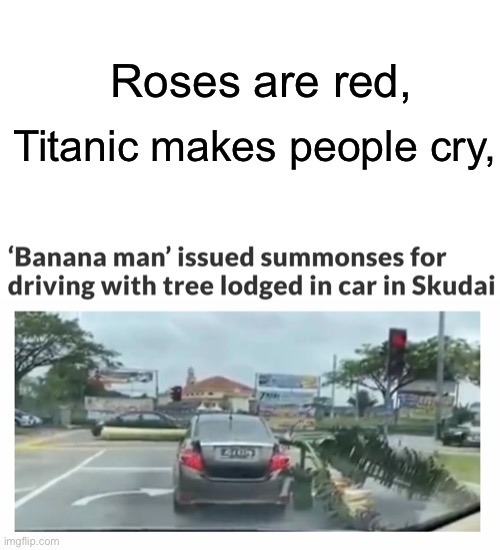 This actually happened | Roses are red, Titanic makes people cry, | image tagged in blank white template,memes,unfunny | made w/ Imgflip meme maker