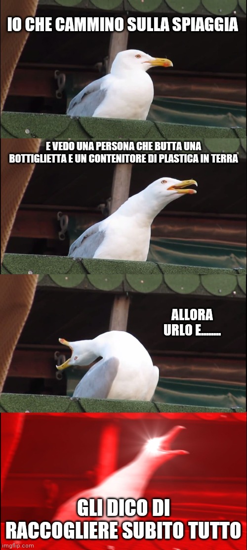 Inhaling Seagull Meme | IO CHE CAMMINO SULLA SPIAGGIA; E VEDO UNA PERSONA CHE BUTTA UNA BOTTIGLIETTA E UN CONTENITORE DI PLASTICA IN TERRA; ALLORA URLO E........ GLI DICO DI RACCOGLIERE SUBITO TUTTO | image tagged in memes,inhaling seagull | made w/ Imgflip meme maker