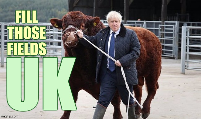 FILL THOSE FIELDS; UK | image tagged in farmers,farming,fast food,farmer,fast food worker,corbyn's labour party | made w/ Imgflip meme maker