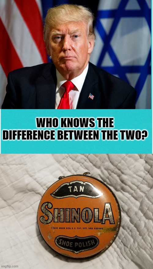trump | WHO KNOWS THE DIFFERENCE BETWEEN THE TWO? | image tagged in trump | made w/ Imgflip meme maker