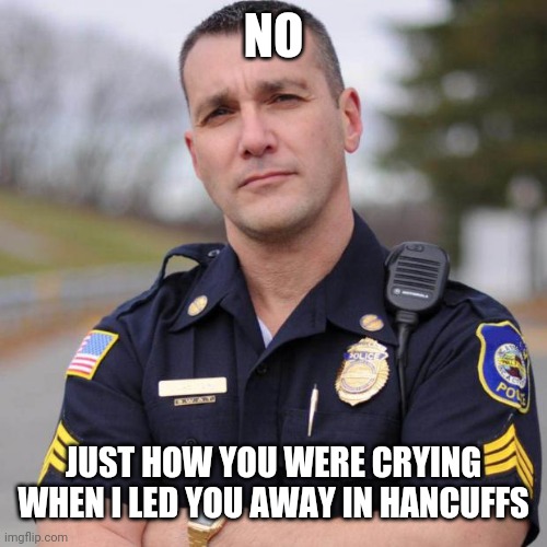 Cop | NO JUST HOW YOU WERE CRYING WHEN I LED YOU AWAY IN HANCUFFS | image tagged in cop | made w/ Imgflip meme maker