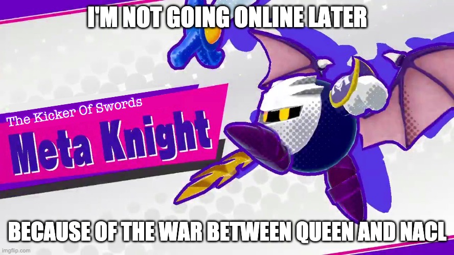 You two have ruined my fuçking day before it even started, congratulations | I'M NOT GOING ONLINE LATER; BECAUSE OF THE WAR BETWEEN QUEEN AND NACL | image tagged in kick | made w/ Imgflip meme maker