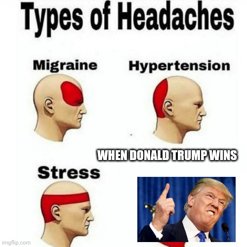Types Of HeadACHES | WHEN DONALD TRUMP WINS | image tagged in memes | made w/ Imgflip meme maker