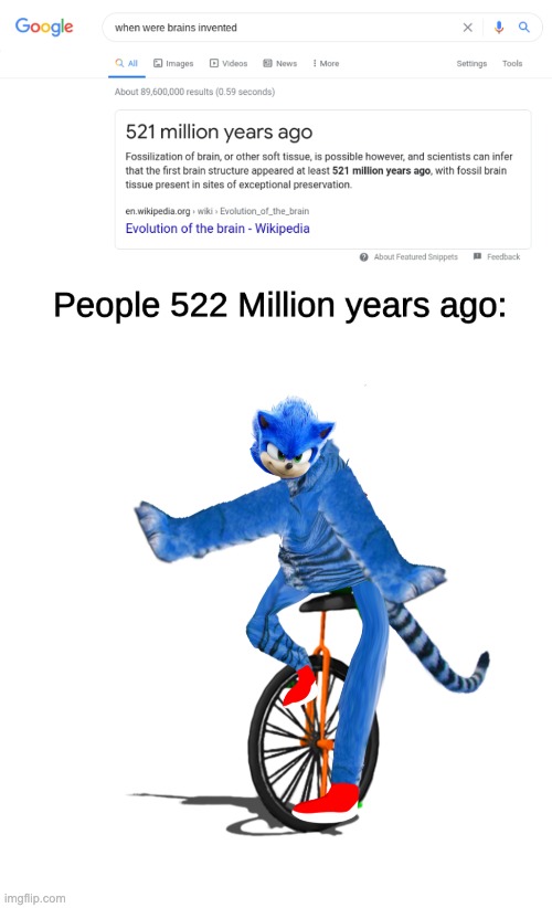 image tagged in when were brains invented,dat boi sonictiger | made w/ Imgflip meme maker
